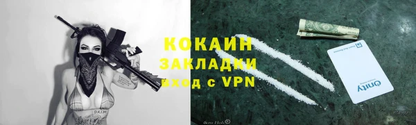 мдпв Вязьма