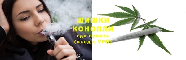 мдпв Вязьма