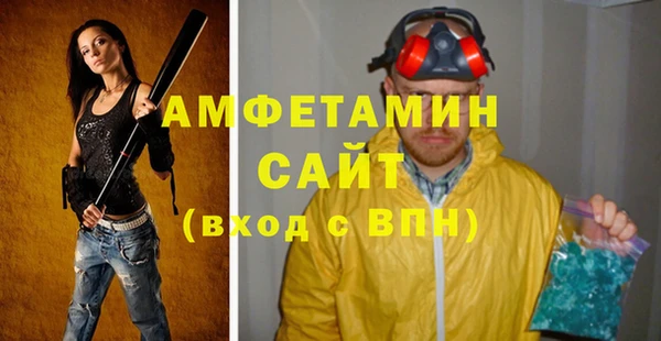 мдпв Вязьма