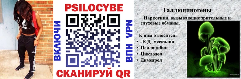 Псилоцибиновые грибы мухоморы  нарко площадка состав  Муром 